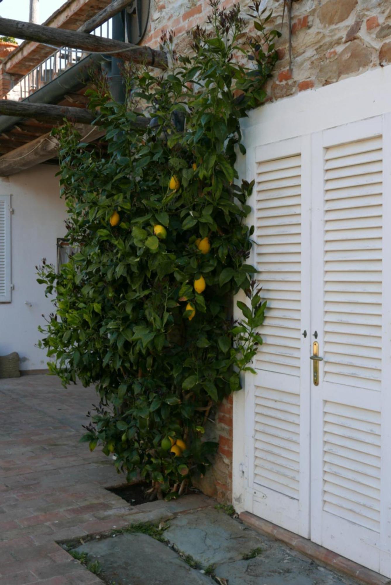 Agriturismo Baratti Ngoại thất bức ảnh