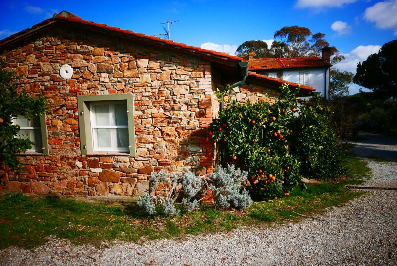 Agriturismo Baratti Ngoại thất bức ảnh